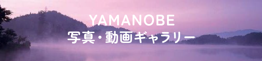 写真・動画ギャラリー